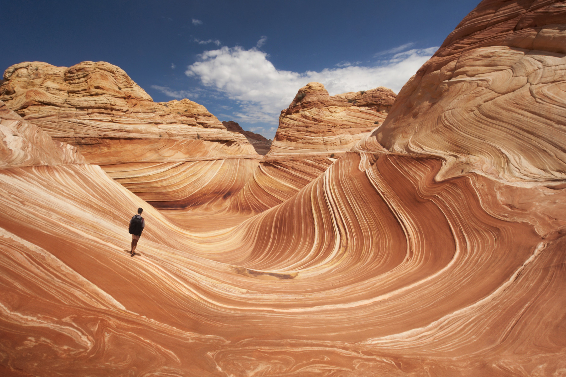 theromanceofsolotravel_catharsisintheusa1