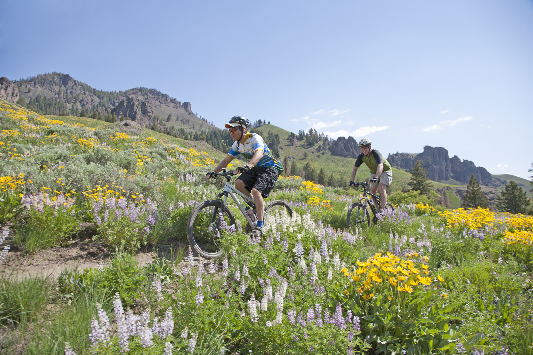 Discover Best Cycling Destinations Worldwide