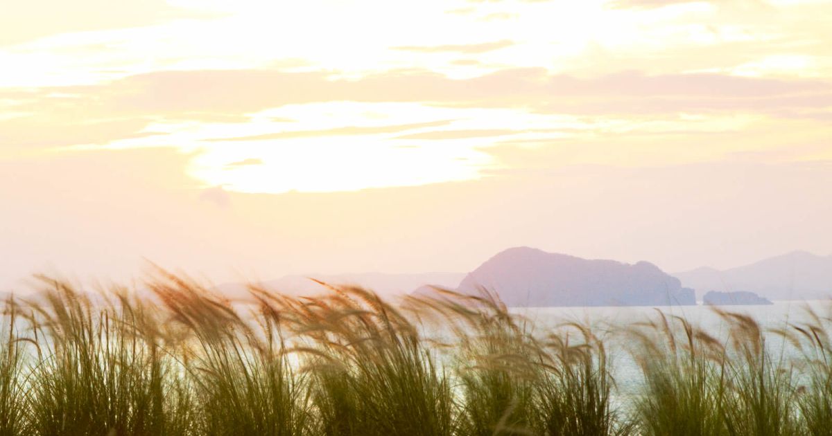 Eco-Friendly Initiatives at COMO Point Yamu