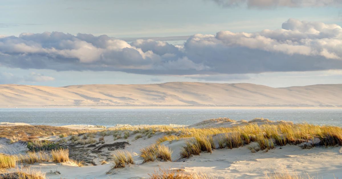 Exploring Coastal Bordeaux Beyond Wine