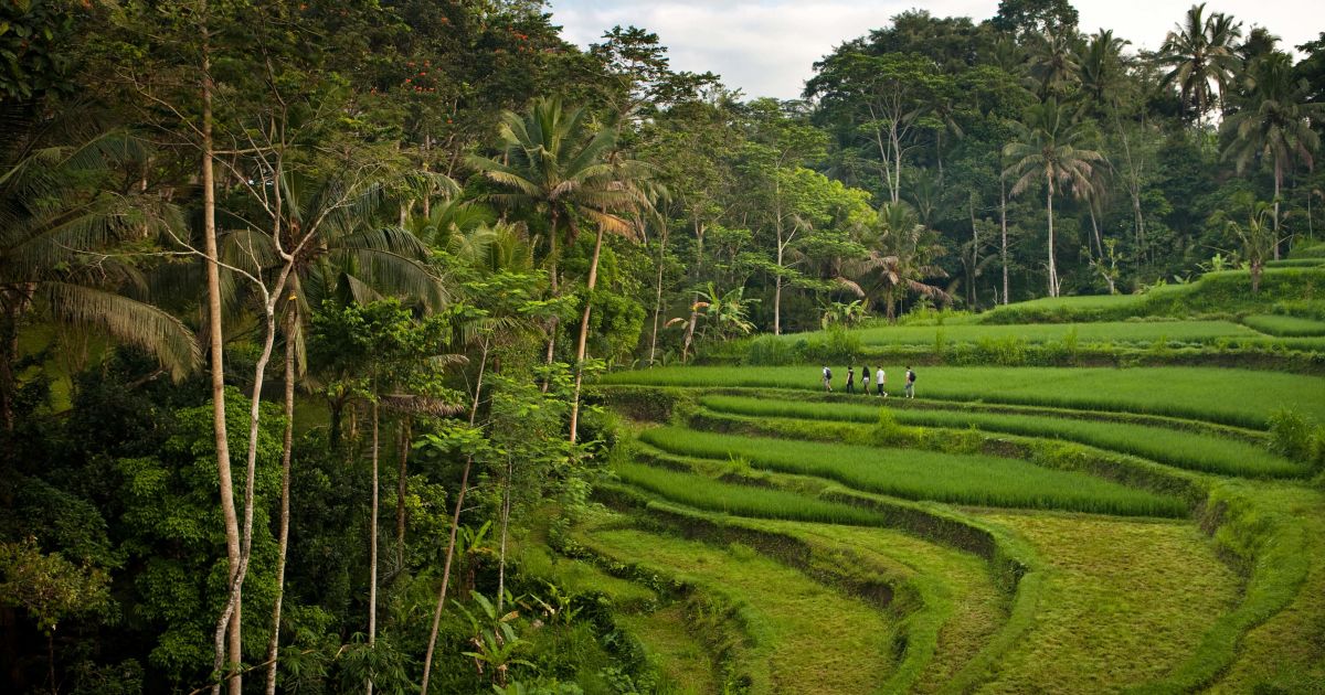 Exploring the Healing Power of Hiking
