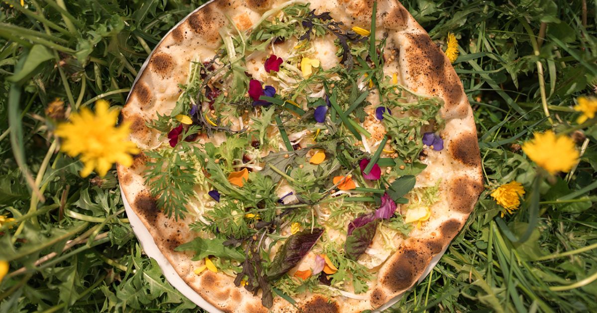 Dolomites Pizza Dough Wisdom