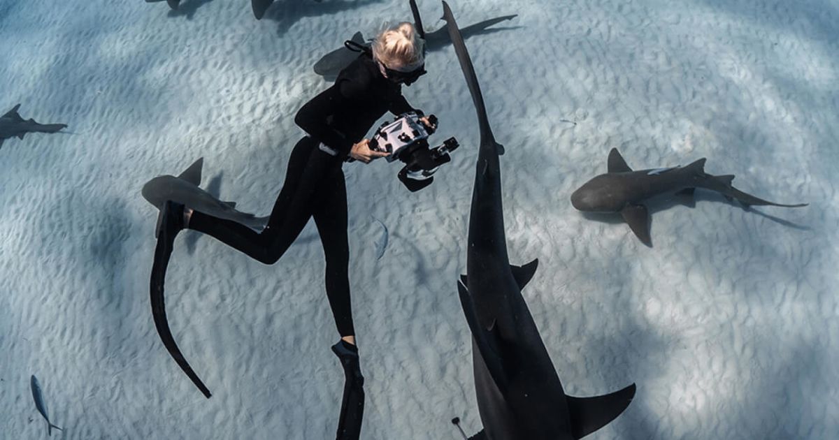 Sharks and Kids: Combining Curiosity with Conservation