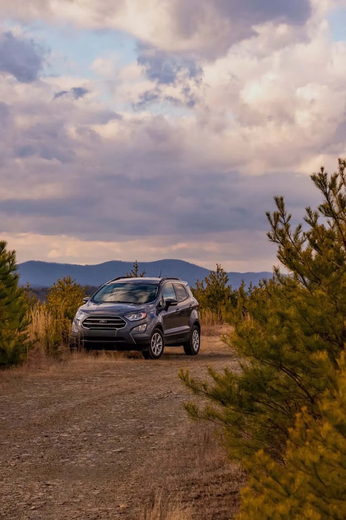 Eco-Friendly Green Motion Car Rentals